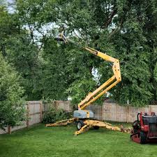 Best Lawn Drainage Solutions  in Oak Hill, TN