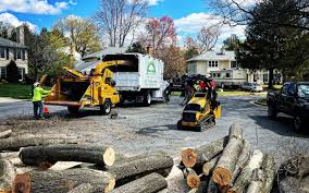 Leaf Removal in Oak Hill, TN